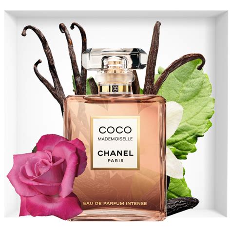 parfum coco chanel prix algerie|Chanel Coco Mademoiselle Intense Edp 100ml .